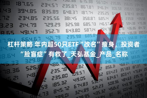 杠杆策略 年内超50只ETF“改名”瘦身，投资者“脸盲症”有救了_天弘基金_产品_名称